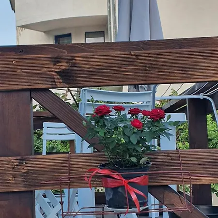 свети йоан кръстител 빌라 *