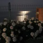 свети йоан кръстител - San Juan Bautista *