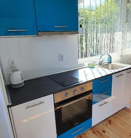 свети йоан кръстител - San Juan Bautista