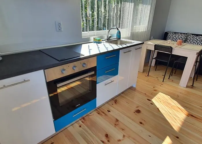 свети йоан кръстител - San Juan Bautista *