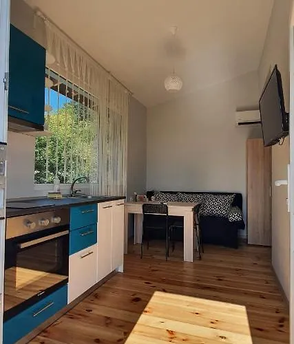 свети йоан кръстител - San Juan Bautista Varna